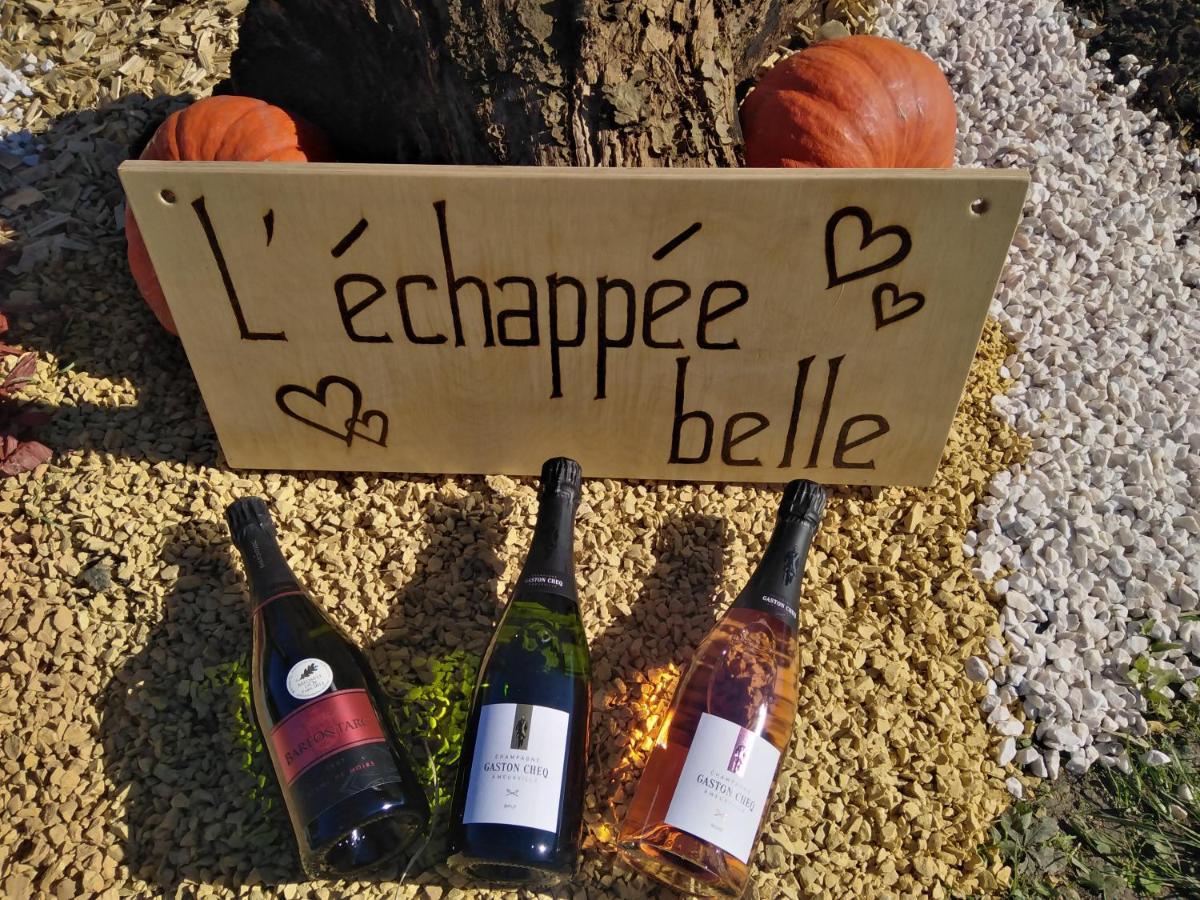 Villa l'échappée belle en Champagne à Spoy  Extérieur photo
