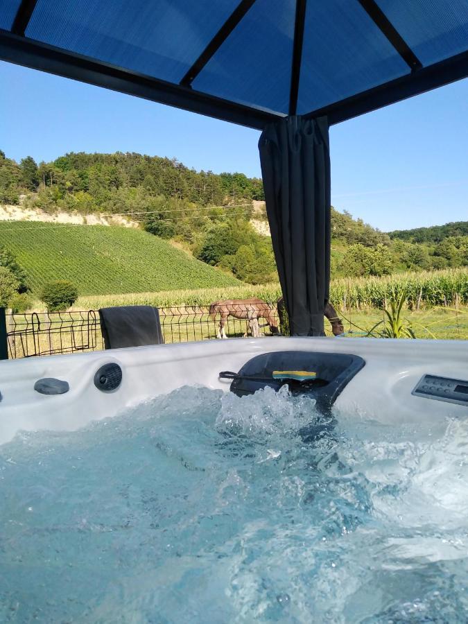 Villa l'échappée belle en Champagne à Spoy  Extérieur photo
